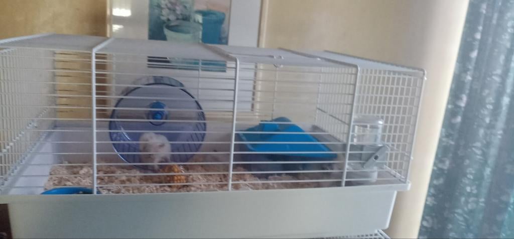 Hamster kooien + spullen  en buizen, Dieren en Toebehoren, Ophalen, Konijn