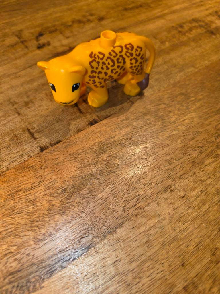 Lego Duplo Tiger avec imprimé, Enfants & Bébés, Jouets | Duplo & Lego, Enlèvement ou Envoi, Duplo