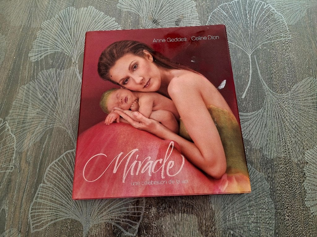 Boek van Anne Giddes, Overige, Ophalen of Verzenden, Zo goed als nieuw, AnneGeddes