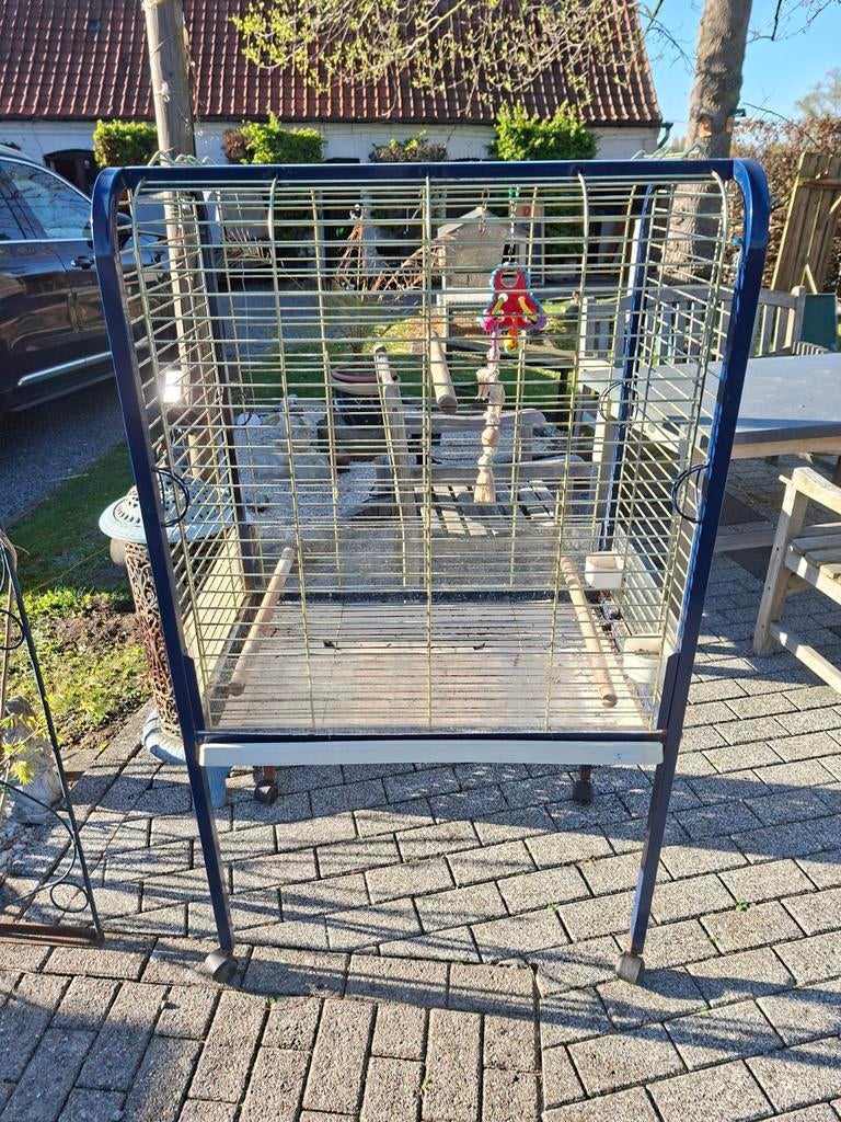 Papegaai kooi, Dieren en Toebehoren, Ophalen