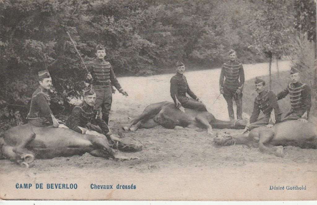 Militaria : kamp Beverloo, Verzamelen, Ophalen of Verzenden