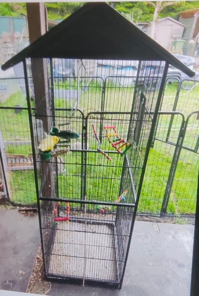 Vogelkooi/voliere, Enlèvement, Cage à oiseaux