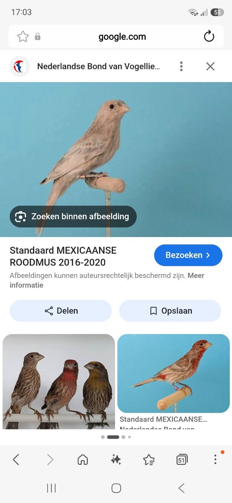 agaat mexicaanse roodmussen, Ophalen