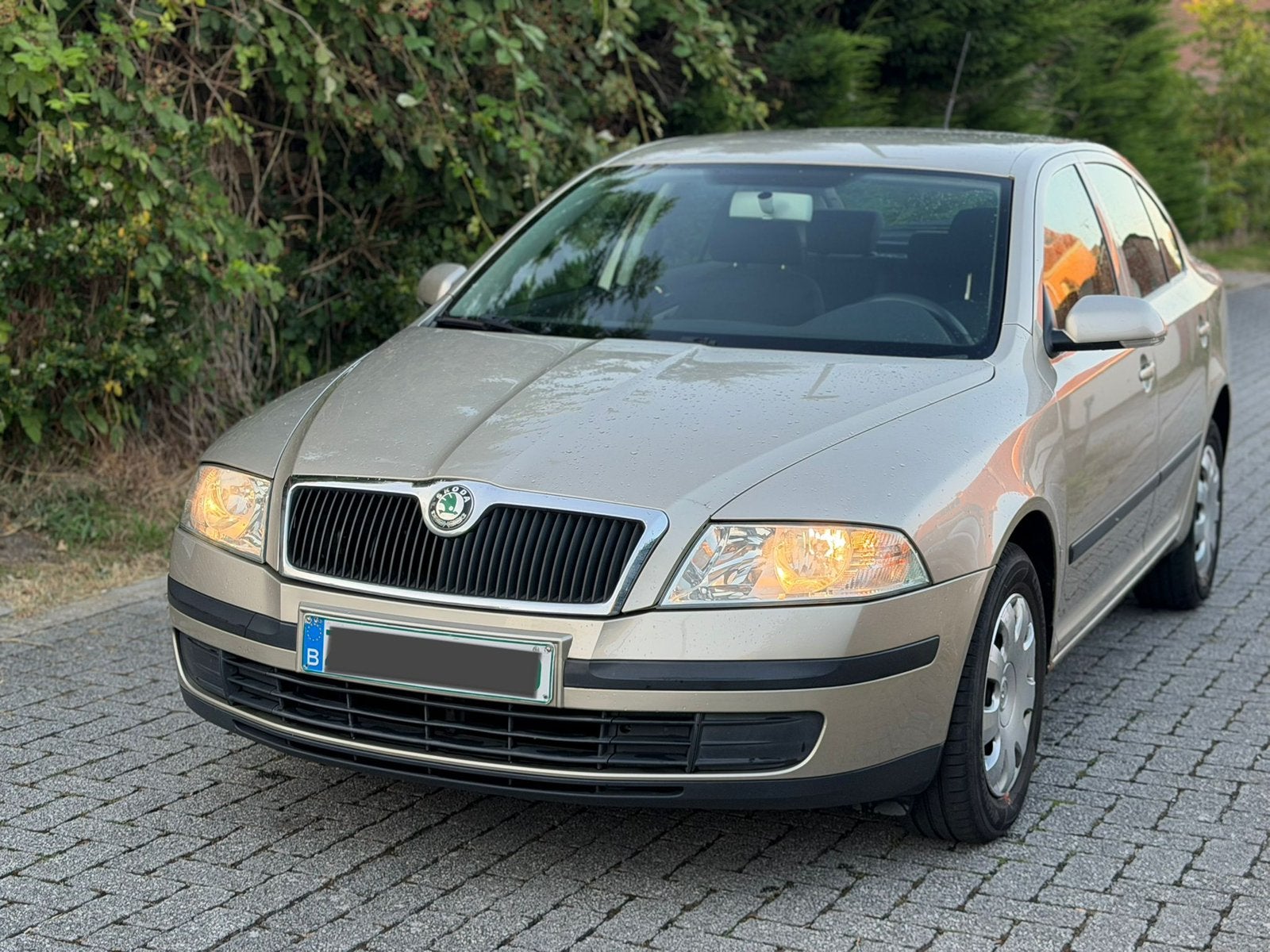 Skoda octavia 2005 1.9tdi 366.000km start rijd, Autos, Skoda, Achat, Diesel, Particulier, Octavia