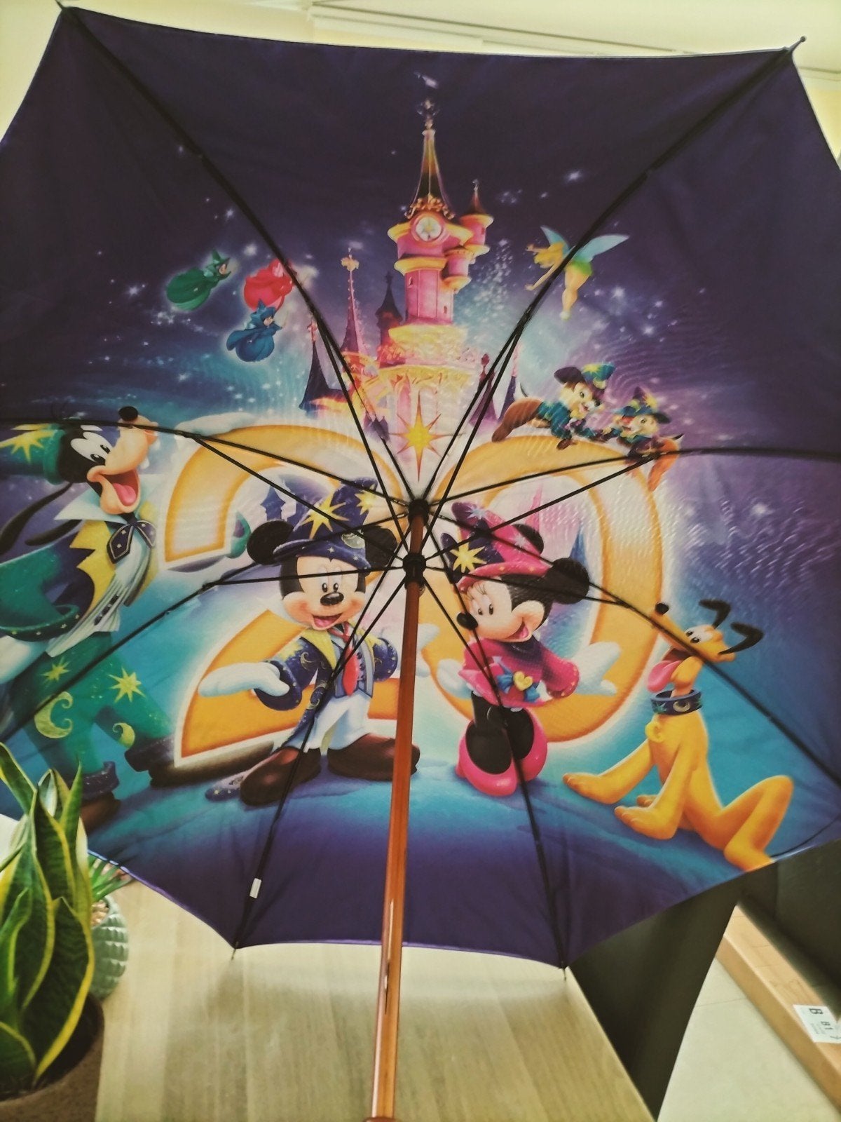 Disneyland Parijs Collector Item - 20 jaar Disneyland Parijs, Ophalen of Verzenden
