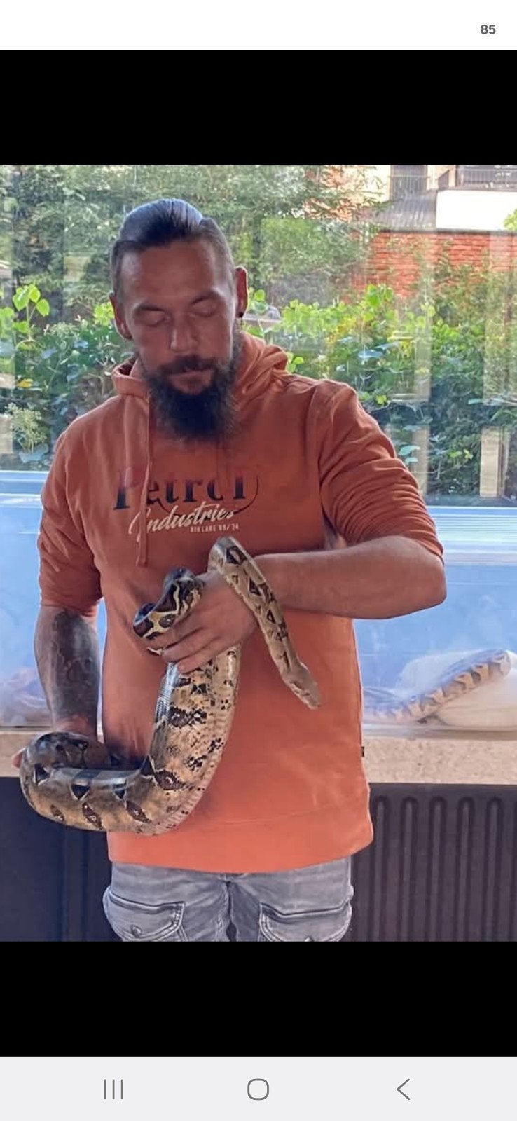 Leuke kennismaking met reptielen, Animaux & Accessoires, Reptiles & Amphibiens | Accessoires, Enlèvement
