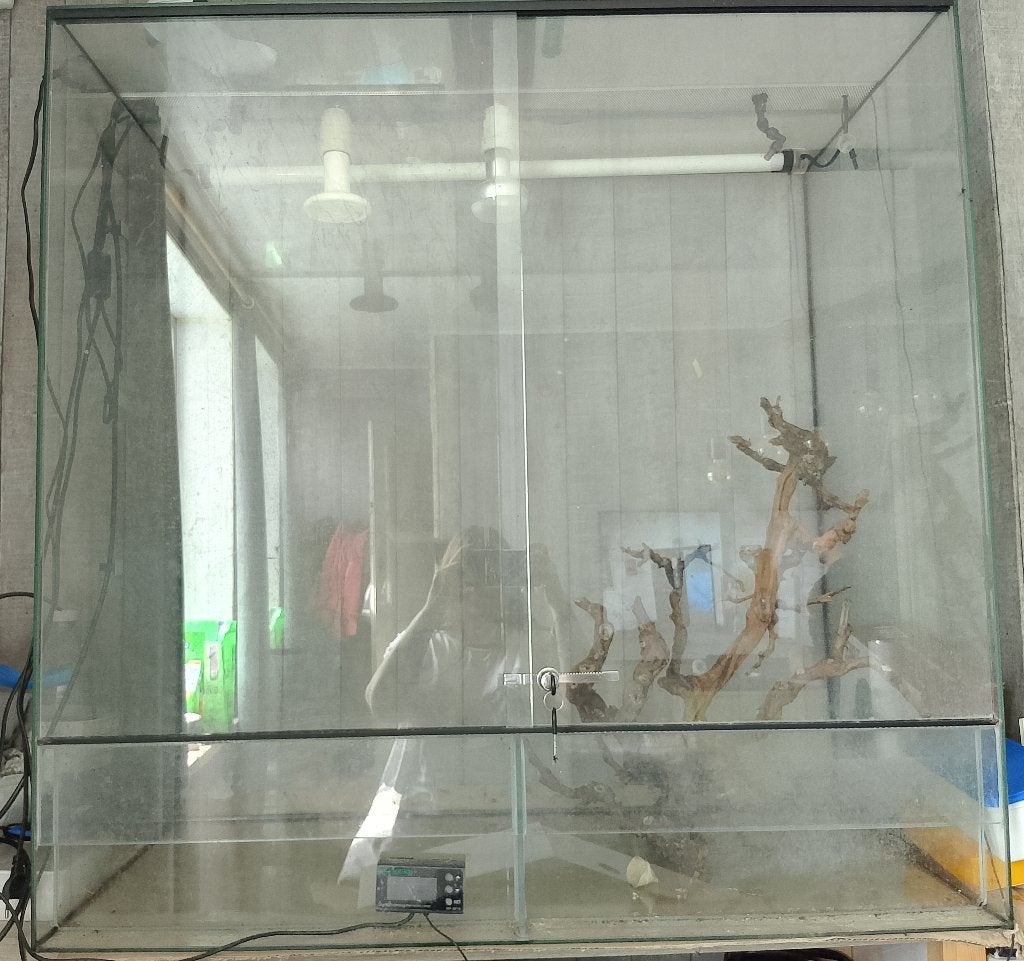 A vendre terrarium, Animaux & Accessoires, Enlèvement, Utilisé, Terrarium ou Paludarium