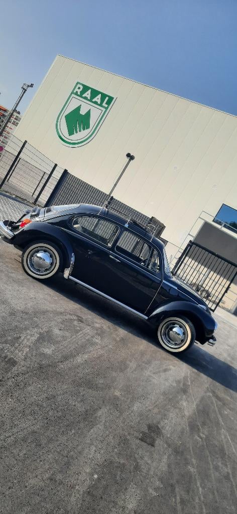 Coccinelle 1303, Autos, Achat, Entreprise, Volkswagen, 1300 cm³
