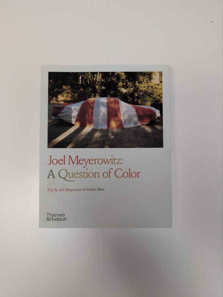 Joel Meyerowitz: A Question of Color, Enlèvement, Joel Meyerowitz, Robert Shore