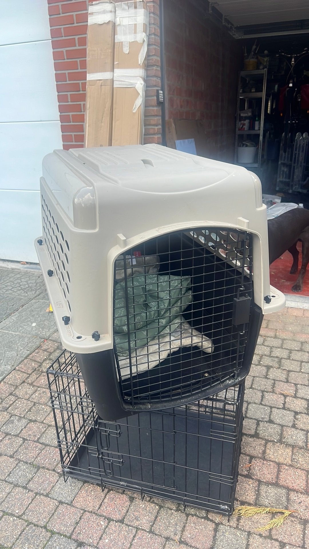 honden transportbox 84  66  57 cm – middelgrote hond, Ophalen, Gebruikt