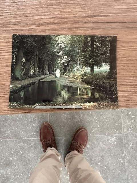 carte postale les jardins d'Annevoie grand canal, Collections, Enlèvement ou Envoi, Non affranchie, Namur