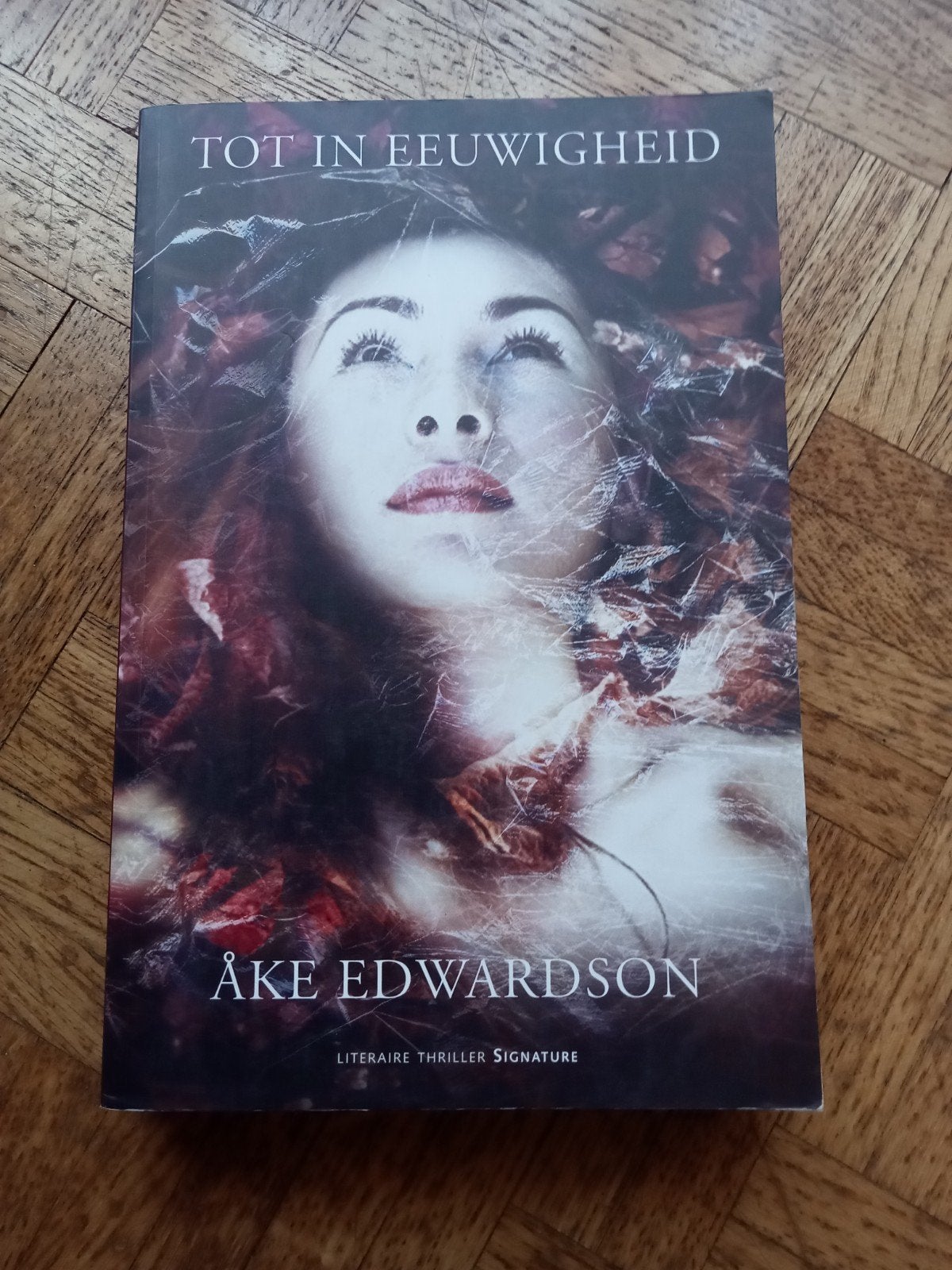 Ake Edwardson: Tot in eeuwigheid, Boeken, Ophalen of Verzenden, Gelezen