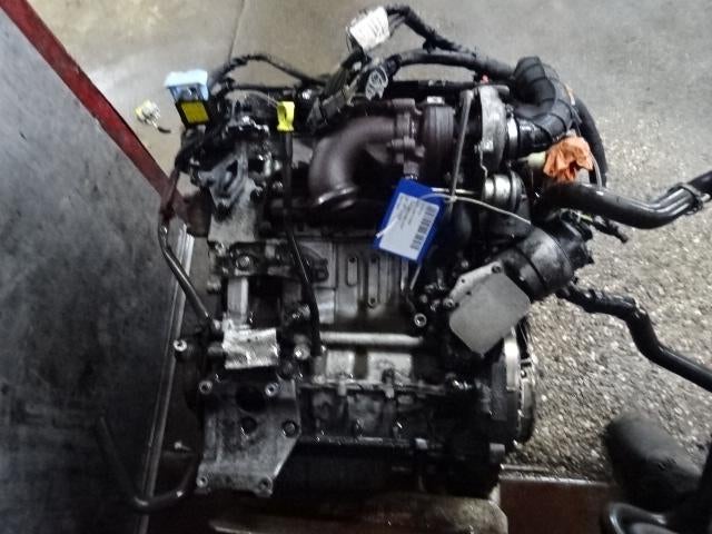 MOTEUR Citroën C3 (FC / FL / FT) (01-2001/12-2012) (8HZ), Citroën, Mevr. I. Hauben, Utilisé, Rue de l'Espoir 34 34
4030  GRIVEGNÉE, BE