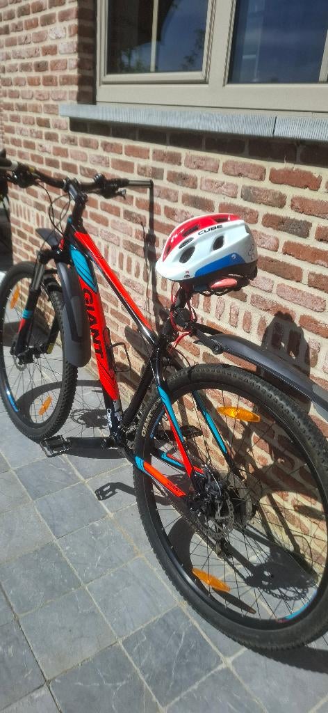 Mountainbike Giant 29 inch, Fietsen en Brommers, Ophalen, Gebruikt, Hardtail, Heren