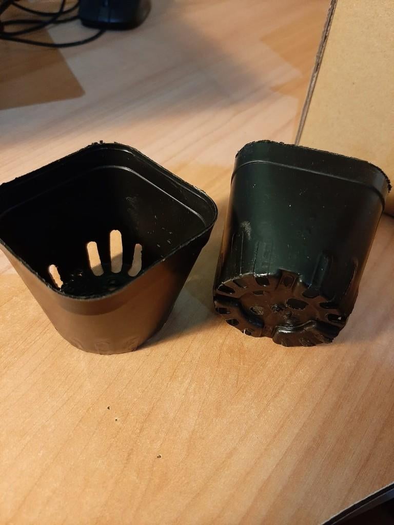 150 Kleine Kweekpotjes 6,5cm, Tuin en Terras, Kunststof, Minder dan 30 cm, Minder dan 60 cm, Binnen
