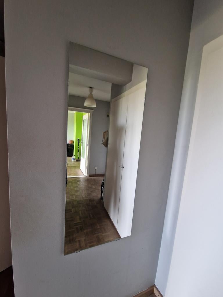 Spiegel, Huis en Inrichting, Ophalen