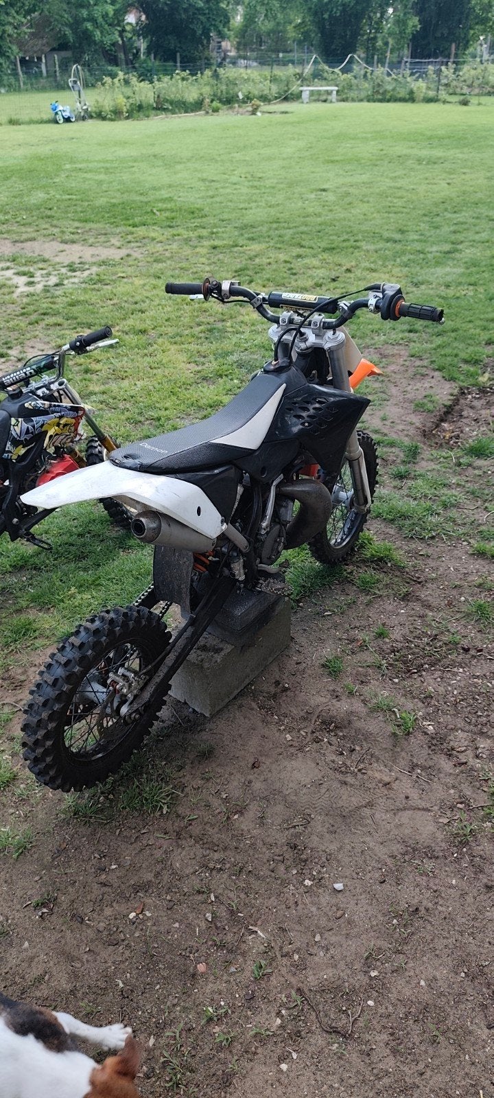 KTM 65cc, Fietsen en Brommers, Minibikes, Midibikes en Pitbikes, Ophalen