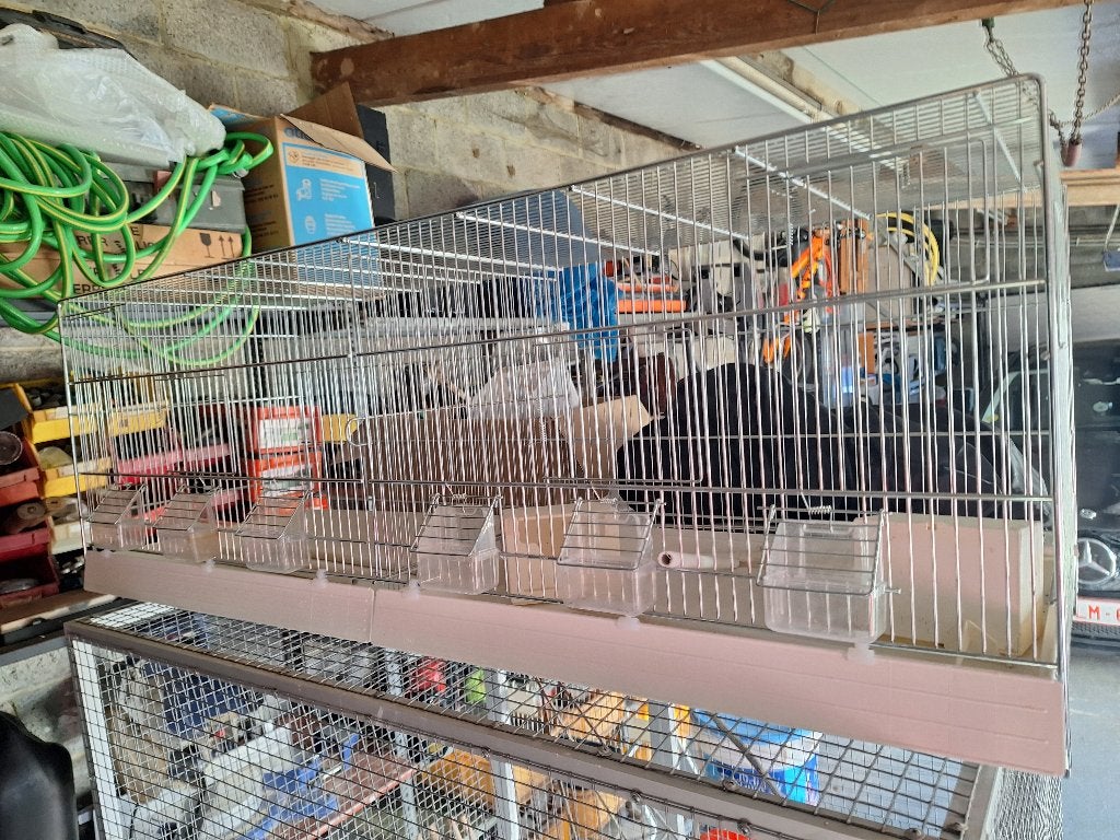 vogelkooi en voliere, Ophalen, Zo goed als nieuw, Metaal, Vogelkooi