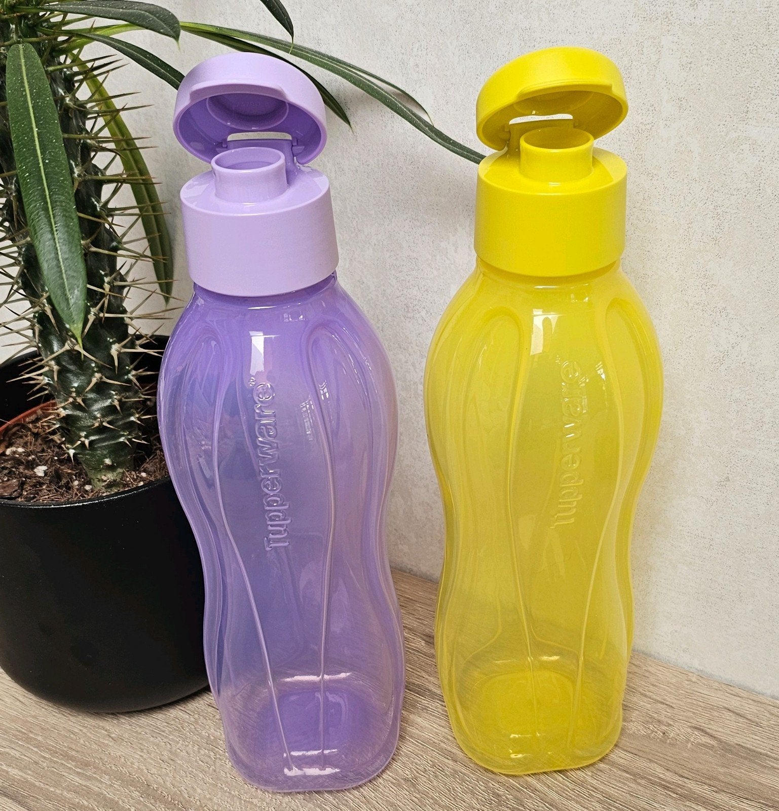 2 bouteilles écologiques Tupperware 750 ml, Enlèvement ou Envoi, Neuf