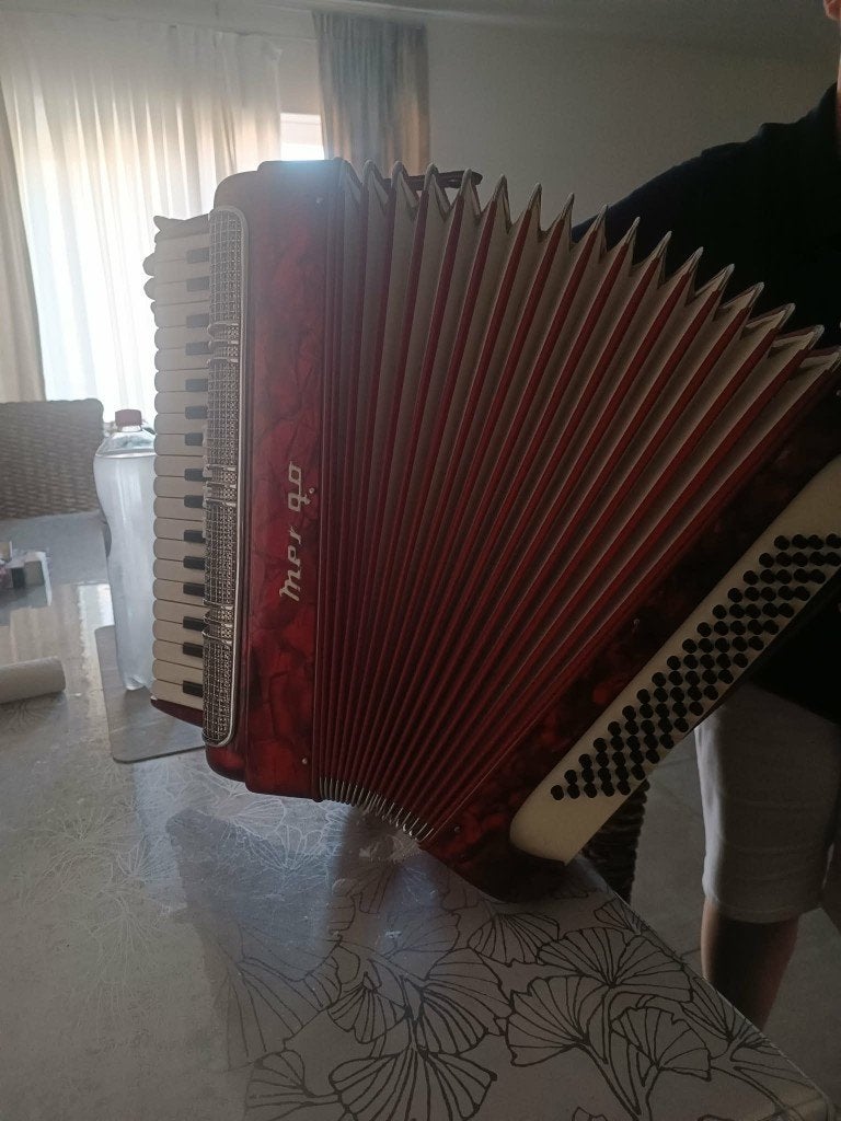 accordeon italiaanse kwaliteit, Gebruikt, Met koffer, Knopaccordeon, 120-bas