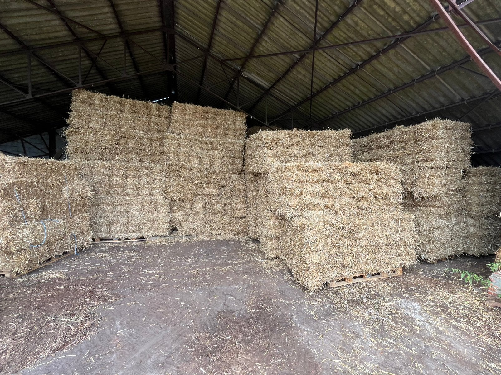 Kleine pakjes tarwestro in bundels, Zakelijke goederen, Landbouw | Veevoer, Ophalen