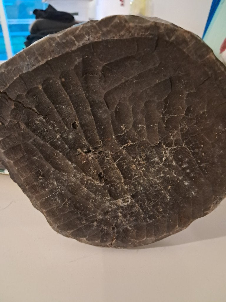 Afrikaans houten beeld uit jaren 60, Ophalen, 50 - 100 cm, Gepatineerd, Beeld
