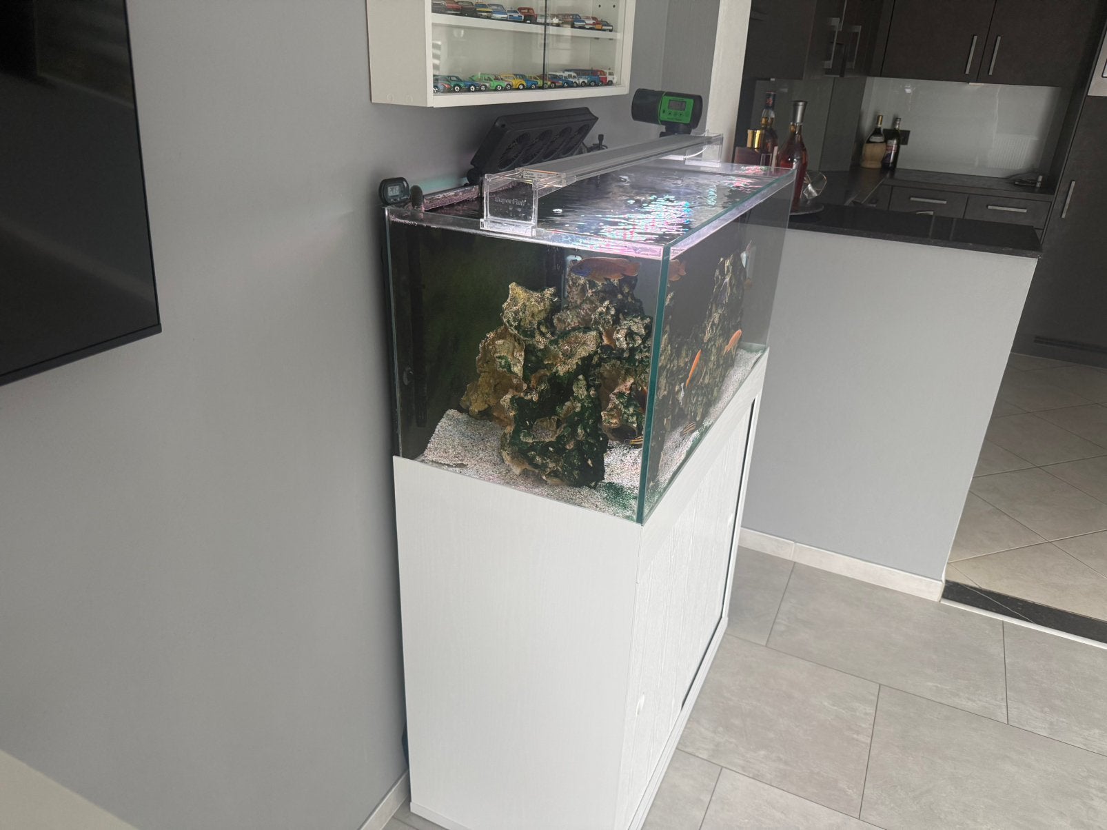 Aquarium eau douce et ou marin, Huis en Inrichting, Keuken | Complete keukens, Ophalen of Verzenden, Zo goed als nieuw