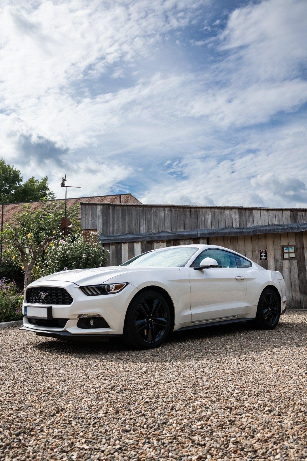 Ford Mustang 2.3 ecoboost 317pk, Autos, Cuir, Achat, Euro 6, 233 kW
