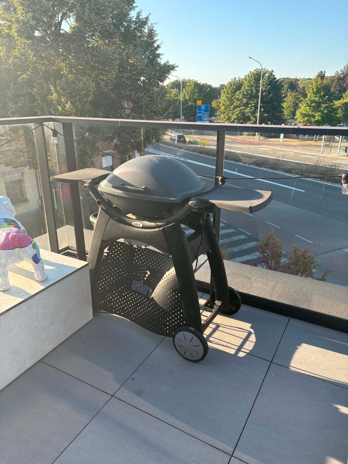 Weber BBQ (elektrisch), Tuin en Terras, Ophalen