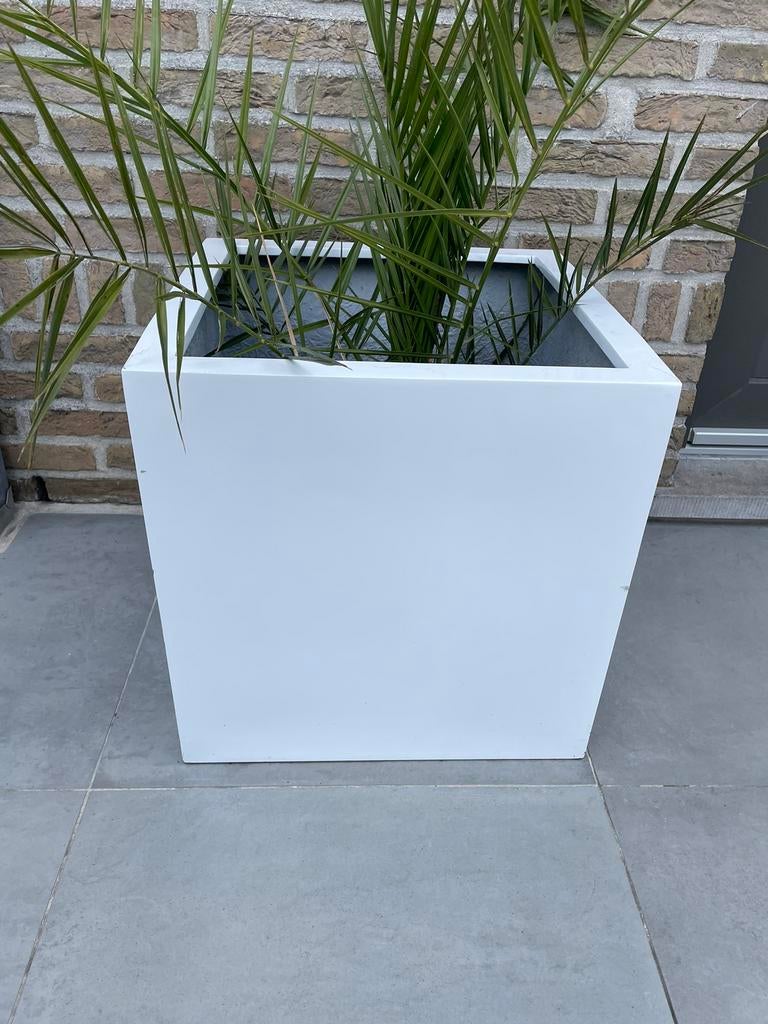 Plantenbak 50 cm, Tuin en Terras, Ophalen, Zo goed als nieuw, Vierkant