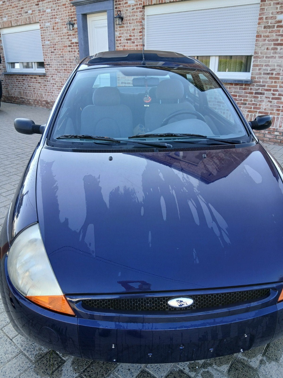 Ford Cat, Autos, Achat, Ka, Boîte manuelle, 1300 cm³