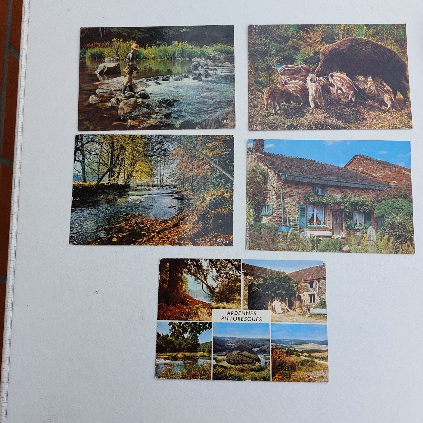 5 gelopen postkaarten: Ardennes pittoresques, Collections, Enlèvement ou Envoi