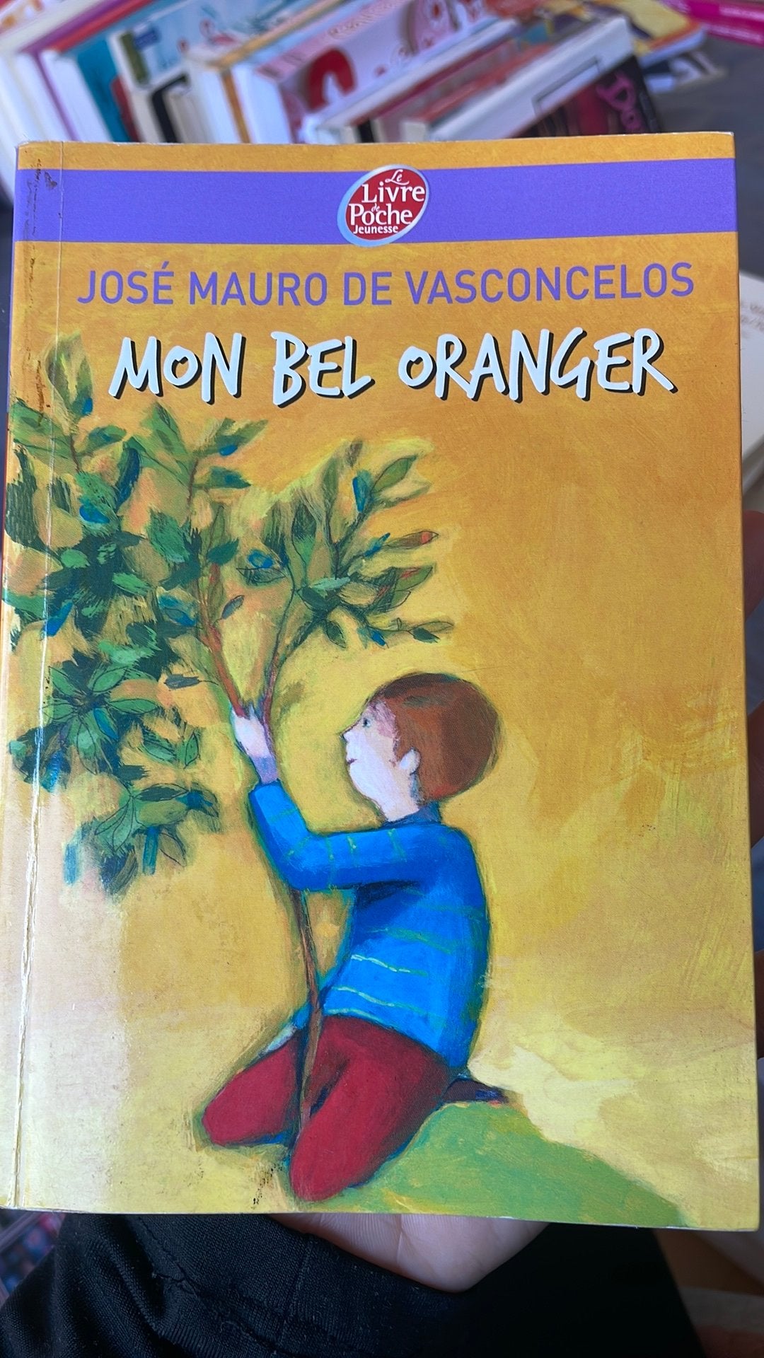 Mon bel Oranger - josé mauro de vasconcelos, Livres, Livres pour enfants | Jeunesse | 13 ans et plus, Enlèvement, Utilisé, Fiction