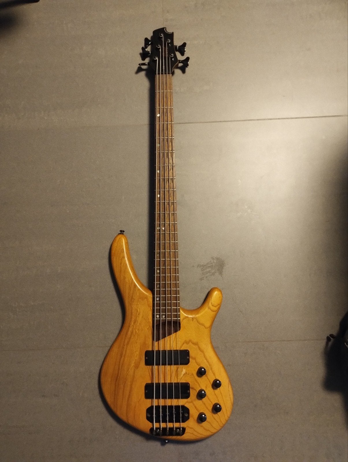 Cort B5 5 string bass igs, Muziek en Instrumenten, Snaarinstrumenten | Gitaren | Bas, Ophalen of Verzenden