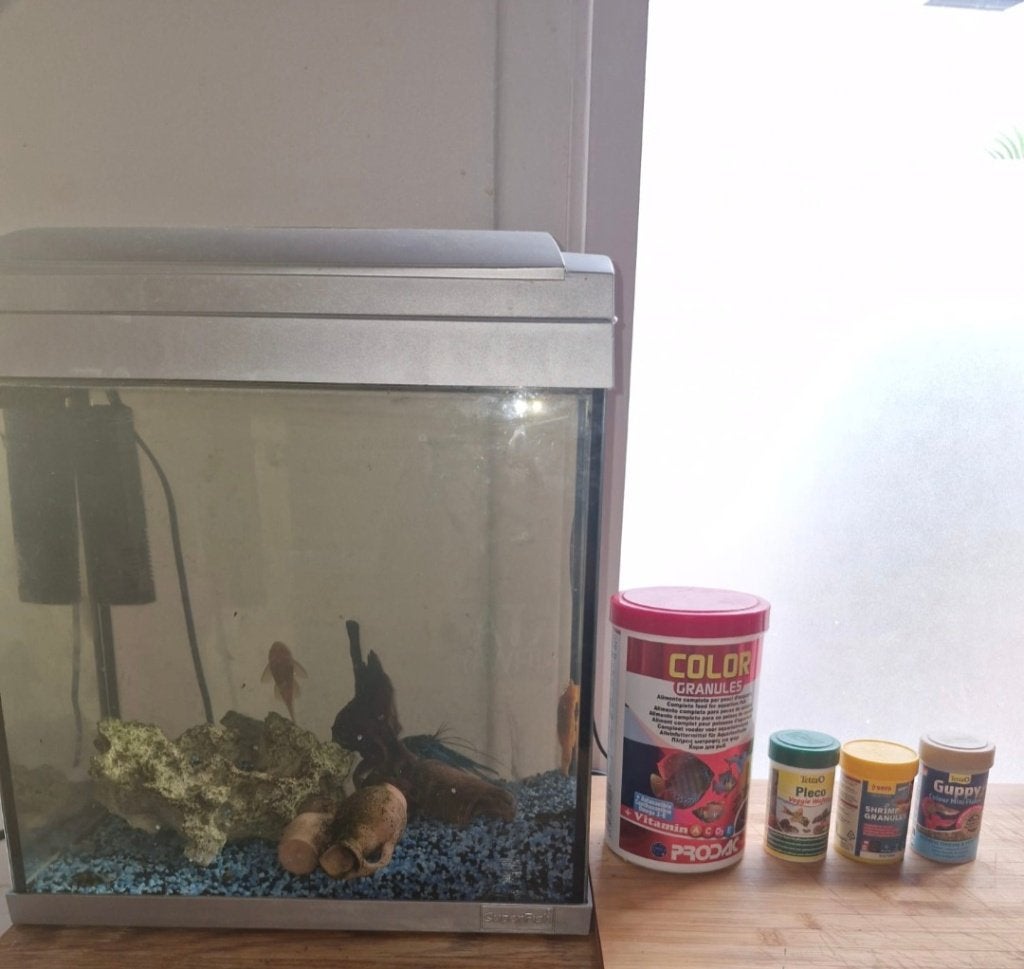 Aquarium, Dieren en Toebehoren, Ophalen