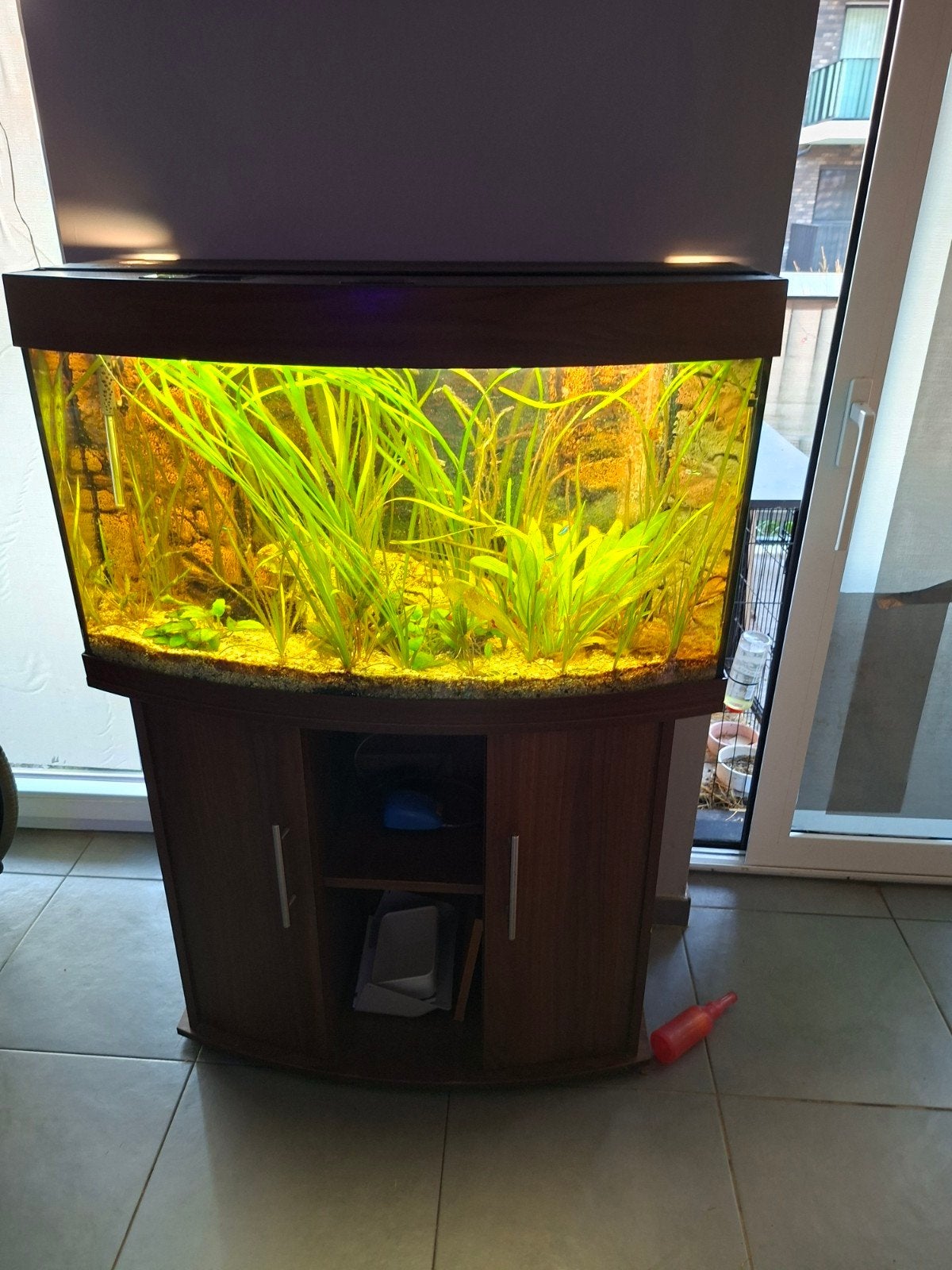 aquarium, Ophalen