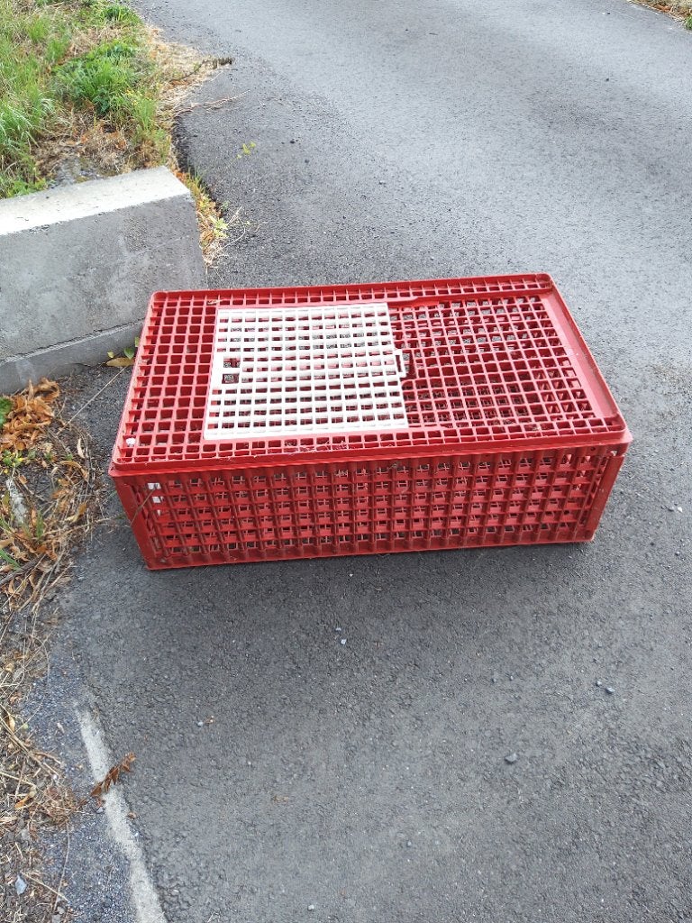 Cage de transport pour volailles, Enlèvement, Comme neuf