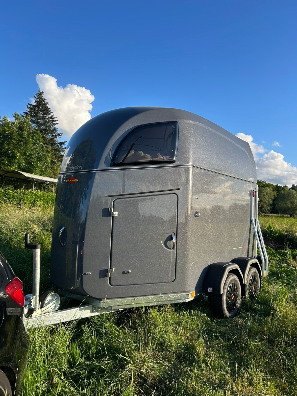 Vervoer voor jou weidedieren / Trailer te huur, Ophalen, Nieuw, Aluminium, 2-paards trailer