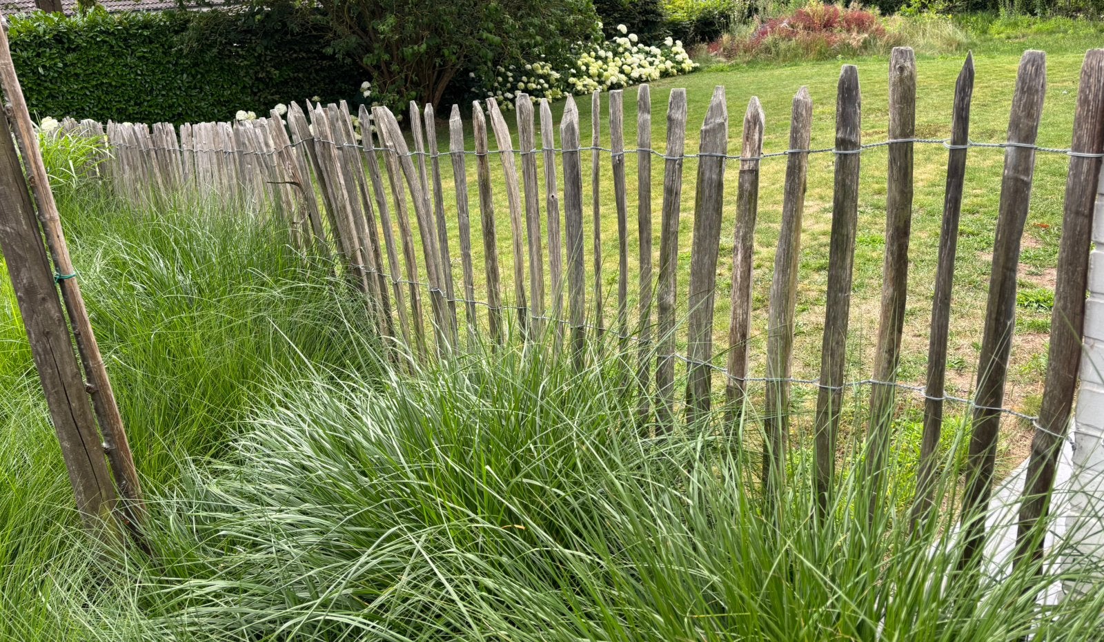Kastanjedraad en poortje afsluiting tuin, Ophalen, 6 meter of meer, Hout, 1 tot 2 meter