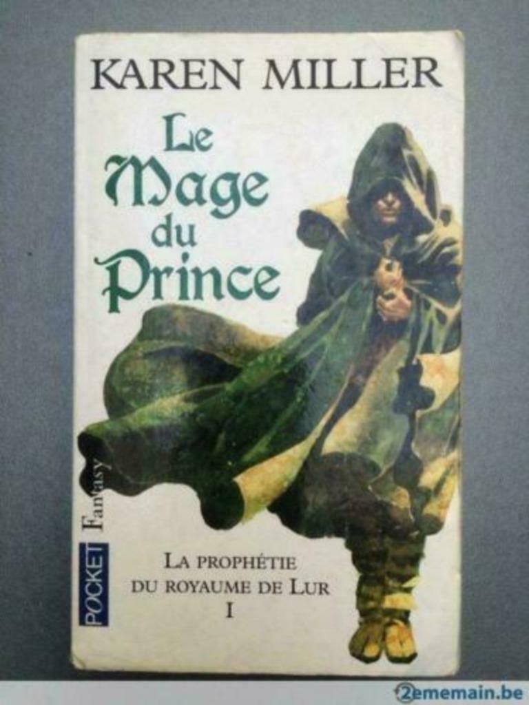 La Prophétie du Royaume de Lur de Karen Miller Tome 1, Livres, Enlèvement ou Envoi, Utilisé, Karen Miller