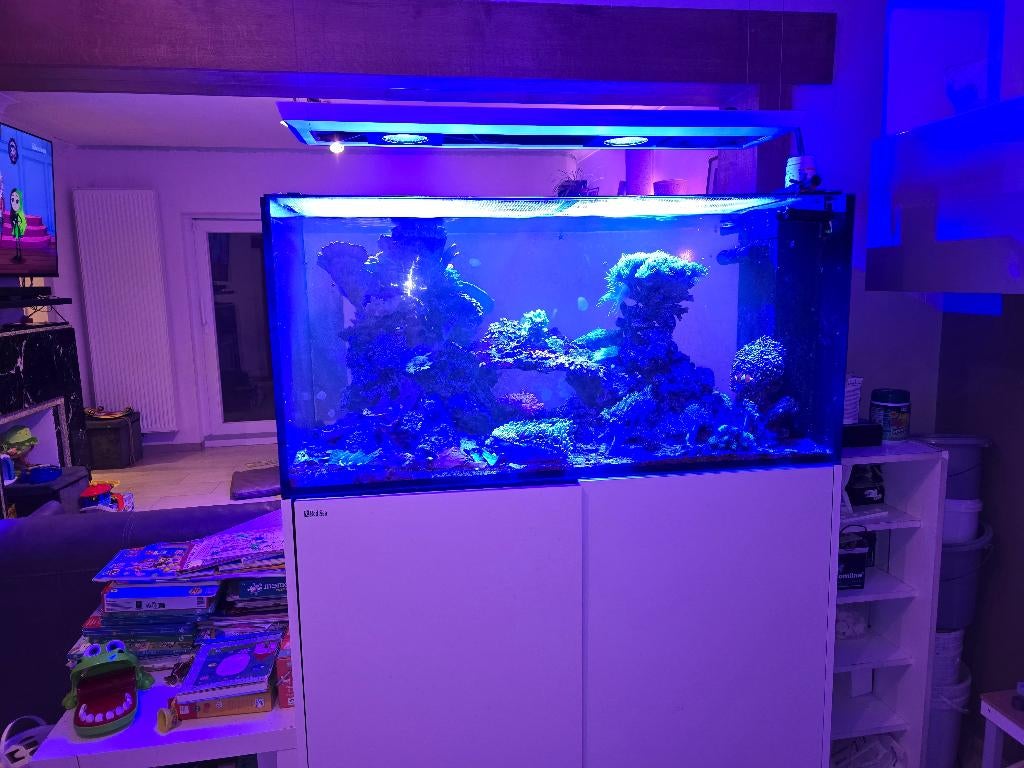 Aquarium Redsea Peninsula 500, Enlèvement, Pompe, Utilisé, Aquarium d'eau de mer rempli
