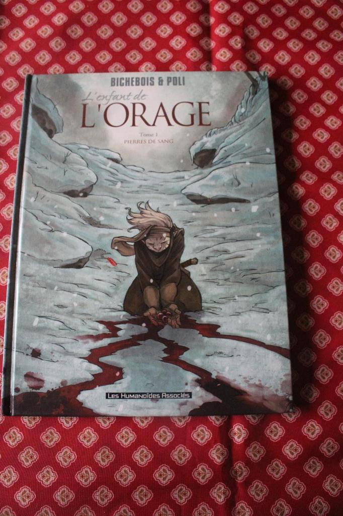 L' enfant de L' Orage - T1 - Pierres de Sang - 2003, Enlèvement ou Envoi, Poli didier, Une BD, Utilisé