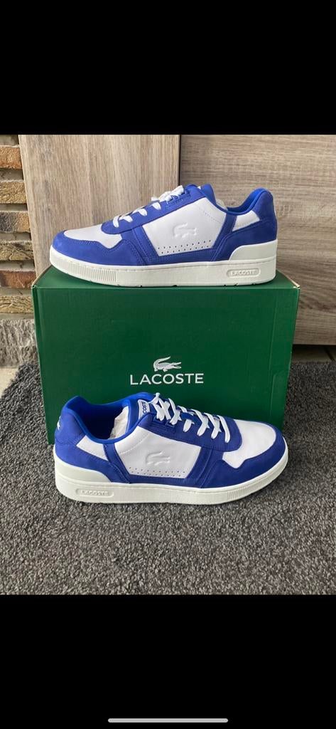 Basket Lacoste bleu taille 42,5, Vêtements | Hommes, Enlèvement, Neuf