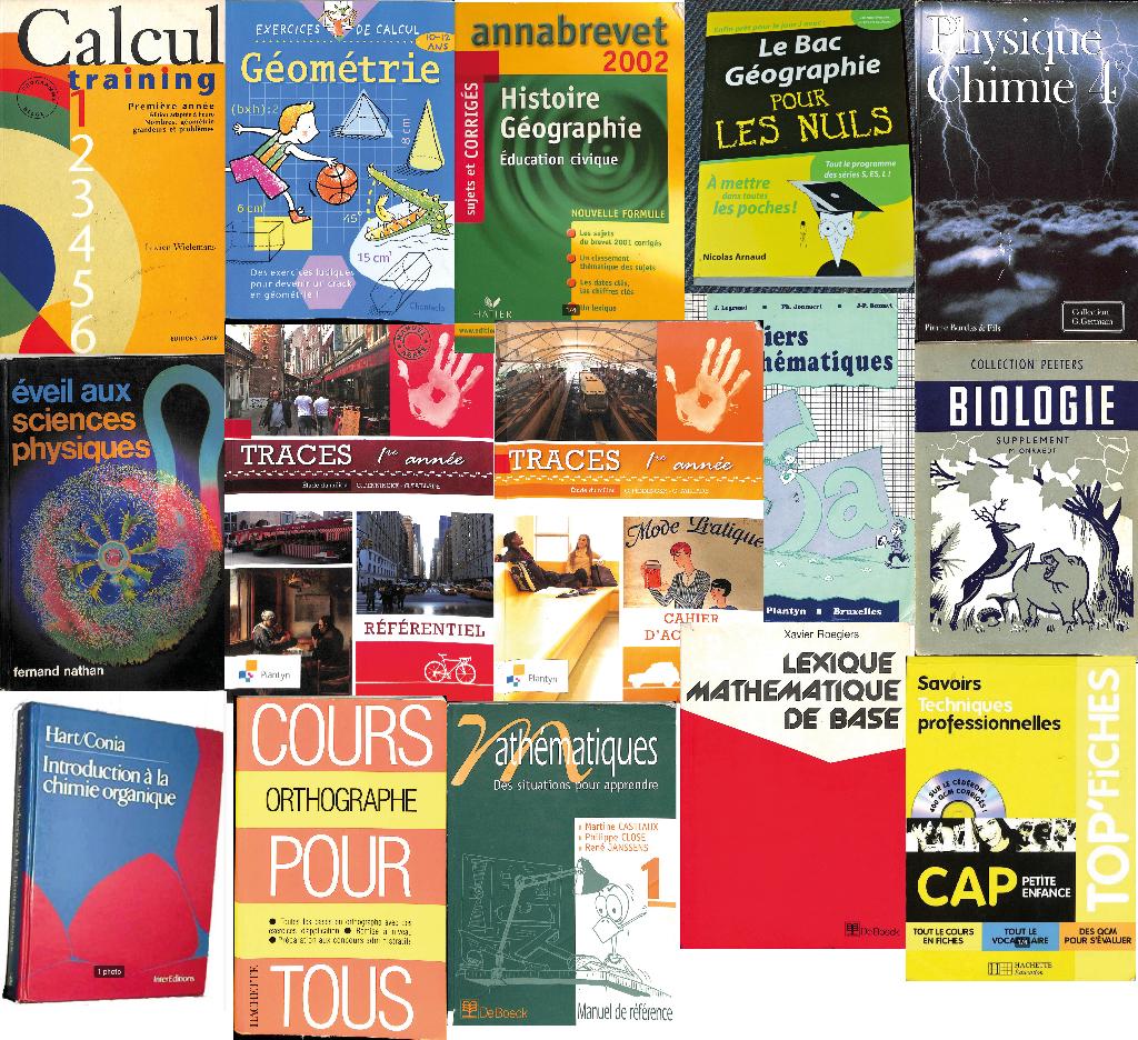 Livres – Scolaires & parascolaires, Livres, Enlèvement ou Envoi, Utilisé, Autres niveaux, Autres matières