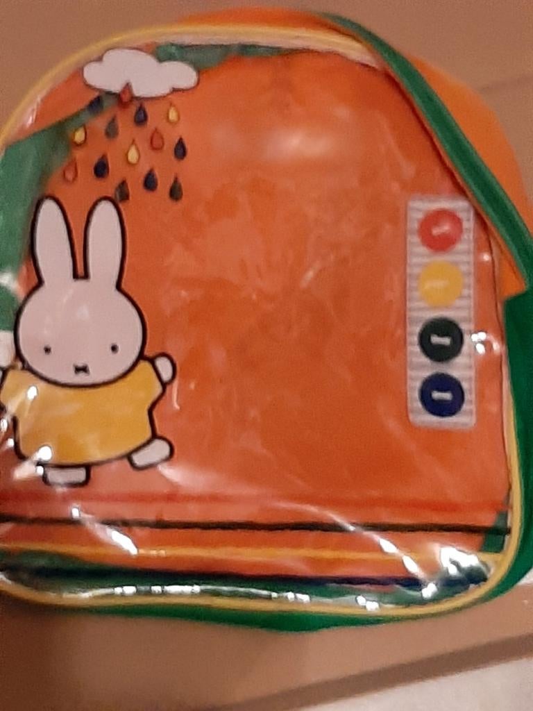 Rugzakjes, Handtassen en Accessoires, Ophalen of Verzenden, Zo goed als nieuw