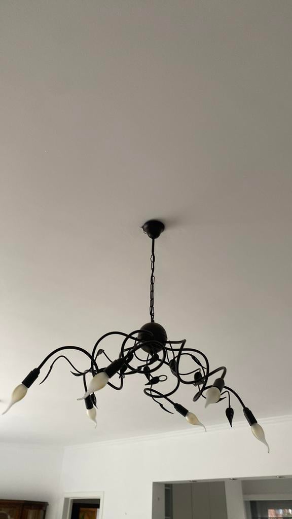 Kroonluchter, Huis en Inrichting, Lampen | Kroonluchters, Ophalen, Gebruikt, Metaal