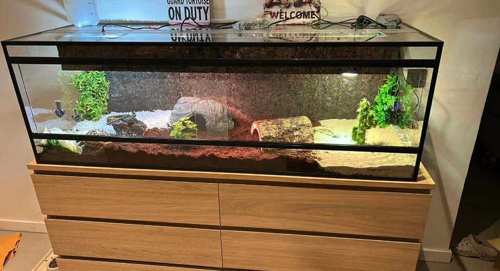 De Terrariumspecialist spotgoedkoop Kijk en vergelijk, Dieren en Toebehoren, Reptielen en Amfibieën | Toebehoren, Ophalen of Verzenden