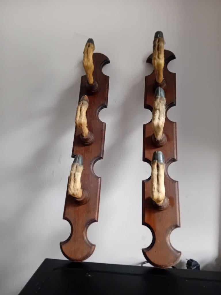 Porte fusil râtelier "patte cerf véritable", Enlèvement ou Envoi, Utilisé, Cerf, Animal empaillé