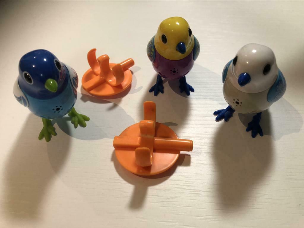 Digibird 3 stuks + 2x fluitring, Ophalen of Verzenden