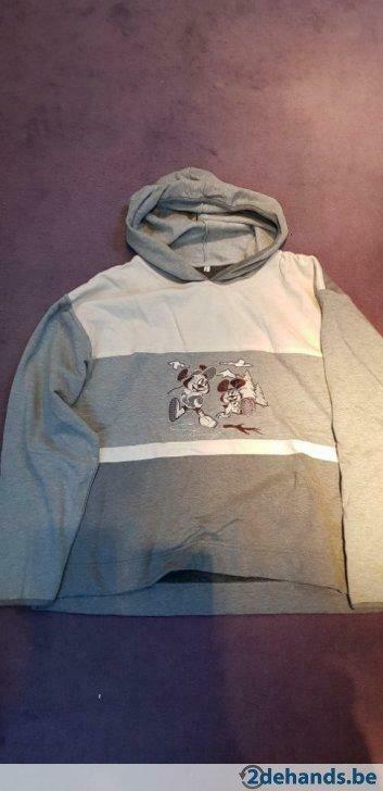 pull Large, Enlèvement ou Envoi, Porté, Taille 42/44 (L)